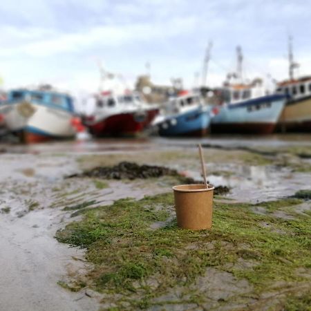 New Quay The Blue Door Bed & Breakfast エクステリア 写真